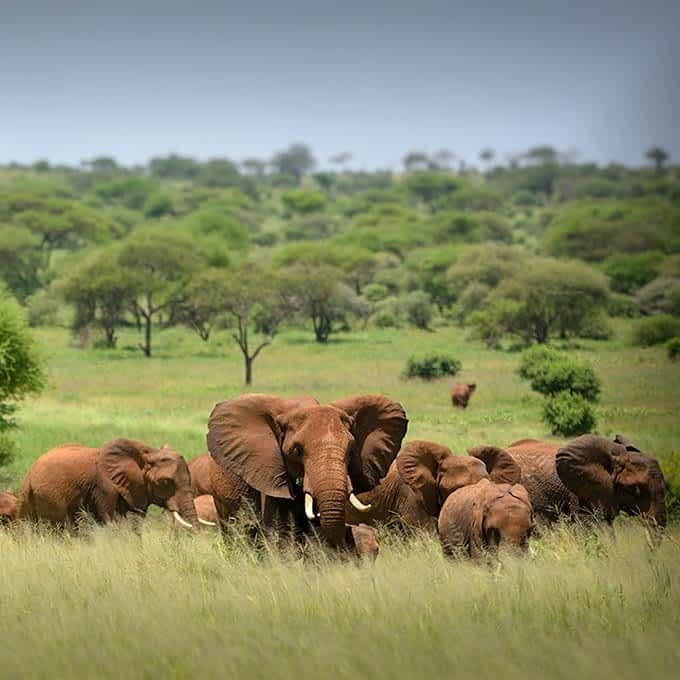 Akagera National Park